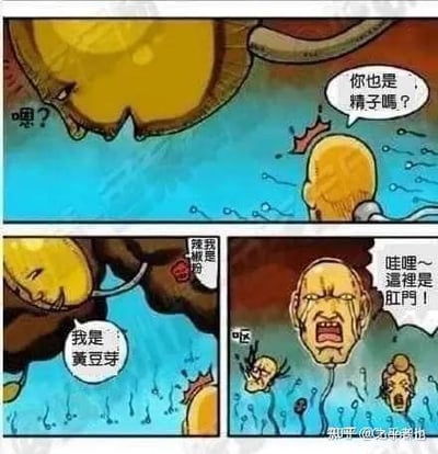 这是由三格组成的连环卡通漫画，以荒诞的场景制造搞笑效果：
1. 第一格：一个精子模样的卡通形象，向一个外形类似精子的黄色物体发问“你也是精子嗎？”，黄色物体发出疑惑的“嗯？”；
2. 第二格：黄色物体回应“我是黄豆芽”，旁边还有一个小角色称“我是辣鸡粉”；
3. 第三格：精子形象突然露出惊恐的表情大喊“哇哩～這裡是肛門！”，另有两个小精子形象也露出惊讶神态。
漫画通过场景误解的反差，将黄豆芽出现在类似生殖道的环境中，让精子误以为是同类，最后揭晓场景是肛门，形成荒诞的笑点。
