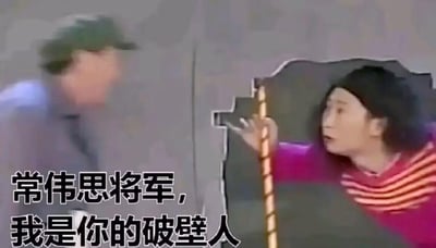 图片左侧是一位戴着绿色军帽、穿着深色衣服的男性角色，似乎正在行走。右侧是一位穿着粉白条纹上衣的女性角色，她从墙上的破洞中探出身来，右手握着一根金色拐杖，表情惊讶地看着左侧人物。图片下方有文字："常伟思将军，我是你的破壁人"。这是《三体》粉丝创作的梗图，将原著中的经典角色和台词与影视截图结合。