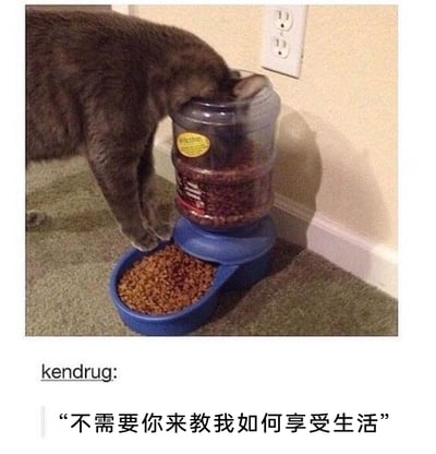 这是一张充满趣味的宠物梗图，画面中一只灰猫没有使用自动喂食器下方已经盛好猫粮的食碗，反而直接将整个头部伸进喂食器上方的储粮桶中进食，食碗里已经装满了自动落下的猫粮。图下方标注了用户“kendrug”的配文“不需要你来教我如何享受生活”，用拟人化的方式将猫这种“不守规矩”的进食行为，调侃成拒绝被既定方式束缚、要按自己意愿享受生活的态度，用宠物的搞笑日常制造出轻松幽默的笑点，很容易引发网友的共鸣。