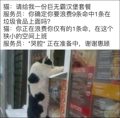 该图属于顶配底文的图文混排梗图，上方是虚构的趣味对话文本，下方是实拍的黑白花色奶牛猫后腿站立、前爪扒在快餐店窗口边缘，如同正在窗口点餐的照片。对话利用大众普遍认知里“猫有九条命”的设定，展开猫和服务员的互动：猫先点巨无霸汉堡套餐，服务员调侃猫吃垃圾食品浪费九条命里的一条，猫随即反怼服务员只有一条命却浪费在狭小的空间里上班，戳中打工人职场痛点，最后服务员哭腔同意出餐，笑点突出，容易引发职场人群的共鸣。