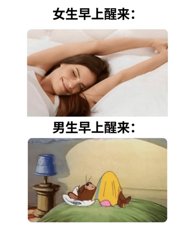 这是一张对比女生和男生早上醒来状态的梗图。图片分为上下两部分，上部分配有文字“女生早上醒来：”，展示一位女性躺在床上，双臂舒展放在脑后，面带微笑，姿态优雅放松；下部分文字为“男生早上醒来：”，是卡通角色杰瑞（《猫和老鼠》）蜷缩在被窝里，身体团成一团，显得凌乱又随意。通过真实人物与卡通形象的反差，幽默地表现了性别间起床状态的不同。