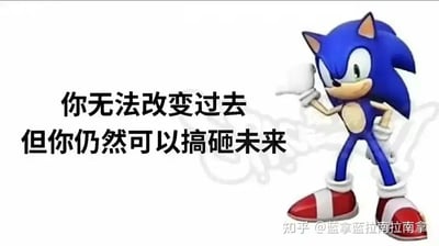 这是一张图文混排的静态图，画面右侧是世嘉经典游戏《刺猬索尼克》的主角索尼克，它呈现出单手叉腰、另一只手抬起的拽酷姿态，表情带着一丝不屑；画面左侧配有黑色的反励志毒鸡汤文字“你无法改变过去 但你仍然可以搞砸未来”，打破了常规正向励志的话语逻辑，用自嘲式的幽默调侃人们的生活状态，搭配索尼克的拽酷形象，让这种扎心的调侃更具反差趣味，整体属于适合用来自嘲或调侃的趣味表情包类图片。