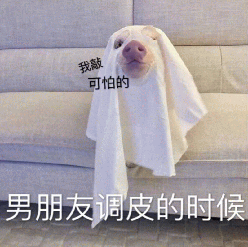 狗狗cos幽灵调侃调皮男友：我敲可怕的
