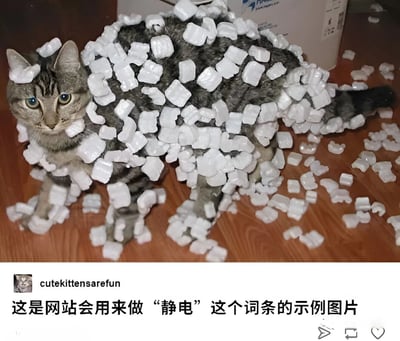 一只灰虎斑猫全身被白色泡沫粒（packing peanuts）覆盖，蓝色眼睛直视前方，表情平静却因满身泡沫显得十分滑稽。猫咪周围散落着更多泡沫粒，背景是木地板和一个纸箱。图片下方有文字说明：“这是网站会用来做‘静电’这个词条的示例图片”，幽默地将猫咪因静电吸附泡沫粒的场景作为静电现象的生动示范。