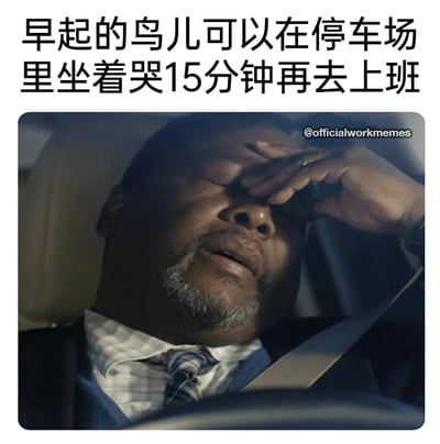 这是一张引发职场人共鸣的梗图，上方配文“早起的鸟儿可以在停车场里坐着哭15分钟再去上班”，用反讽的方式改写了“早起的鸟儿有虫吃”的俗语，精准描绘出当代打工人的精神困境。图中一位穿着正装的职场男性坐在汽车驾驶座上，系着安全带，手按在眼睛上，面露痛苦崩溃的神情，仿佛正在压抑情绪或哭泣，这个场景戳中了很多打工人的真实经历——在进入职场前，会在私人空间里短暂释放负面情绪，再强撑着投入工作，用黑色幽默的方式展现了职场人的精神压力与无奈。