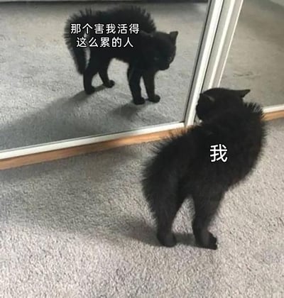 这是一张充满自嘲意味的静态梗图，画面主体是一只毛发炸起的黑色猫咪，正对着镜子里的自己做出对峙姿态。现实中的猫咪被标注为“我”，镜子里的猫咪倒影被标注为“那个害我活得这么累的人”，通过这种拟人化的方式，精准调侃了当代人在生活、工作中自我内耗，最终发现让自己疲惫的根源其实是自己的无奈处境，用幽默的方式抒发了日常疲惫的情绪。