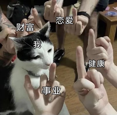 这是一张经过文字加注的趣味梗图，图中一只表情无奈、眼神低垂的黑白猫被标注为“我”，周围多只人手分别标注为“财富”“恋爱”“事业”“健康”，并都向猫比出中指。画面用夸张幽默的方式，自嘲当代年轻人在生活的各个重要维度都遭遇不顺，仿佛被人生的各个方面“嫌弃”，精准戳中了当代青年面对生活压力时的无力感与自嘲心态，是用来抒发情绪的热门表情包。
