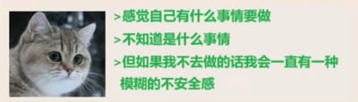 图片左侧是一只橘猫的特写，它有着圆溜溜的大眼睛，表情看起来有些疑惑和迷茫。右侧是绿色的文字内容，共三行：“感觉自己有什么事情要做”“不知道是什么事情”“但如果我不去做的话我会一直有一种模糊的不安全感”。整体通过猫咪的表情和文字内容，幽默地表达了人们日常生活中常见的“忘记要做什么事”的健忘状态以及由此产生的轻微焦虑情绪，容易引发共鸣。