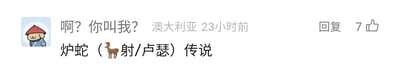 这是一张社交媒体评论区的截图，左上角是一个戴着红色帽子的卡通动物头像用户，发布的评论内容为“啊？你叫我？”，标注的所在地为澳大利亚，发布时间为23小时前，该评论拥有7个点赞以及“回复”按钮。在这条评论的下方，有一行玩谐音梗的文字：“炉蛇（🦌射/卢瑟）传说”，其中“炉蛇”“鹿射”都是谐音知名卡牌游戏《炉石传说》的名称，“卢瑟”则是英文“loser”的音译谐音，整体是网友针对《炉石传说》玩的趣味谐音梗。