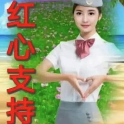 这张图片为经典的“红心支持”表情包，画面中一位穿着制服的女性用双手比出爱心手势，背景为合成的绿草、蓝天和海边场景。左侧配有醒目的红色大字“红心支持”，传递出积极的支持和应援氛围。整体风格幽默且正能量，常被用作表达网络支持。

图片无明显双关、谐音梗或暗示。