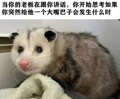 图片上方有一行黑色文字：'当你的老板在跟你讲话，你开始思考如果你突然给他一个大嘴巴子会发生什么时'，下方是一只表情若有所思的负鼠，它坐在白色毛绒表面上，眼神专注，仿佛正在进行内心的激烈思考。图片通过负鼠的表情与文字内容结合，幽默地表现了员工在老板讲话时的内心戏和荒诞想法，带有职场吐槽的搞笑意味。