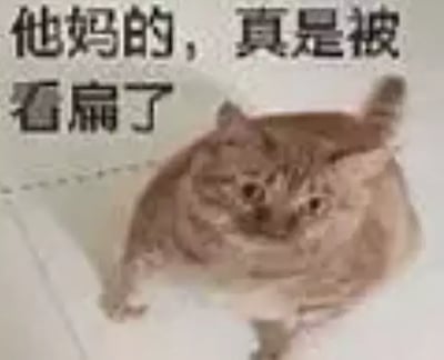 这是一张以猫为主角的梗图，角落有粗体中文字“他妈的，真是被看扁了”，配上猫咪视角向上看、身体被广角变形的形象，有一种“心情低落、觉得被低估或看扁”的情绪。作为日常网络表达常见表情包，这张图广泛用于吐槽、表达无奈、自嘲和被低看、不被重视的场合。

没有明显双关谐音，但“看扁了”表达了被低估、被小看的心理感受，和猫的表情结合增添幽默感。