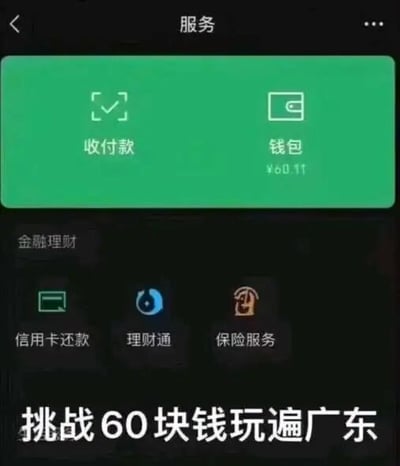 这是一张微信服务页面的屏幕截图，页面顶部是“服务”标题，上方绿色区域设有“收付款”和“钱包”功能入口，其中钱包显示余额仅为¥0.11；下方是“金融理财”板块，包含信用卡还款、理财通、保险服务三个功能图标。图片底部添加了文字“挑战60块钱玩遍广东”，钱包的微薄余额和挑战所需的60元形成强烈反差，制造出搞笑的效果，暗示发起挑战的人资金拮据，这个挑战的难度极高。
