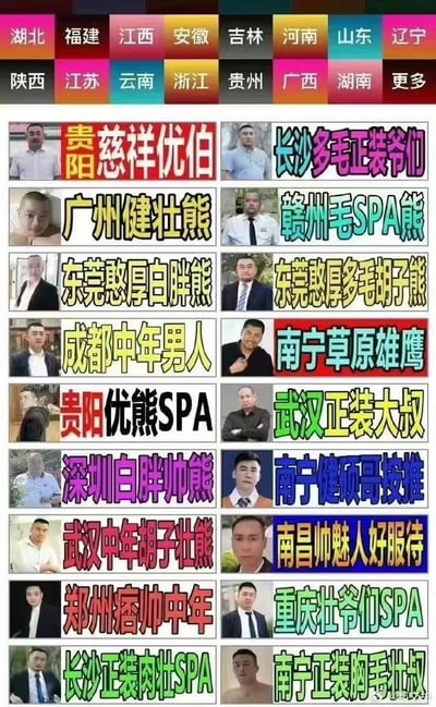 这是一张多图拼接的图文混排内容，顶部设置了湖北、福建、江西等多个省份/地区的标签栏，下方以左右成对的形式排列了16组中年男性照片与对应文字介绍。文字内容结合城市地域、中年男性的外形特征（如“健壮熊”“白胖帅熊”“痞帅中年”等，其中“熊”是小众圈层对壮硕中年男性的称呼），搭配SPA、按推等服务类描述，整体是小众圈层（熊圈）对不同城市相关男性服务的趣味汇总整理，风格偏向圈层内的调侃与分享。