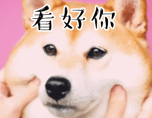柴犬捏脸鼓励表情包：看好你