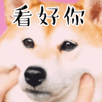 狗狗