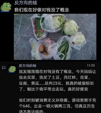 这是一段社交聊天平台的记录截图，用户「反方向的蛙」以悲伤蛙作为头像，先发出「我们现在好像对钱没了概念」的感慨，并附上一袋袋总价仅23元的蔬菜（包含土豆、花菜、青菜等）的实拍图；随后用户补充说明，自己帮妈妈买菜才发现这些日常食材如此便宜，对比自己平时游戏随手充648、吃一顿火锅花两三百的娱乐消费，突然意识到自己被消费主义环绕，感慨生存类消费和娱乐类消费的巨大落差，引发对自身消费观的反思。