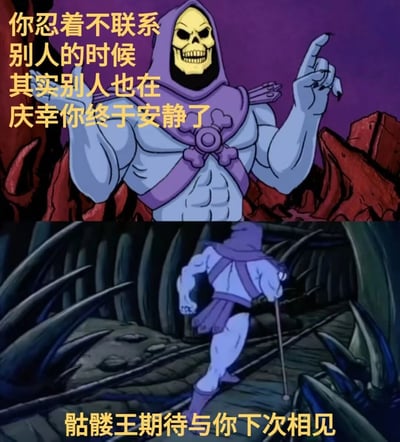 上下两格拼接的卡通梗图，使用《宇宙的巨人希曼》反派骷髅王形象。上格中骷髅王（紫色兜帽、蓝色肌肉身躯）在紫色背景前手指向上，配文“你忍着不联系别人的时候 其实别人也在庆幸你终于安静了”；下格中骷髅王弯腰穿过尖刺隧道，配文“骷髅王期待与你下次相见”。通过经典反派形象与反差文案，幽默调侃社交中“不联系时对方可能正庆幸安静”的现象。