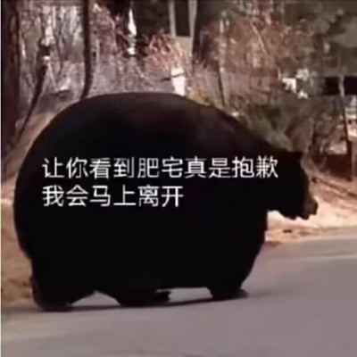 暂无描述