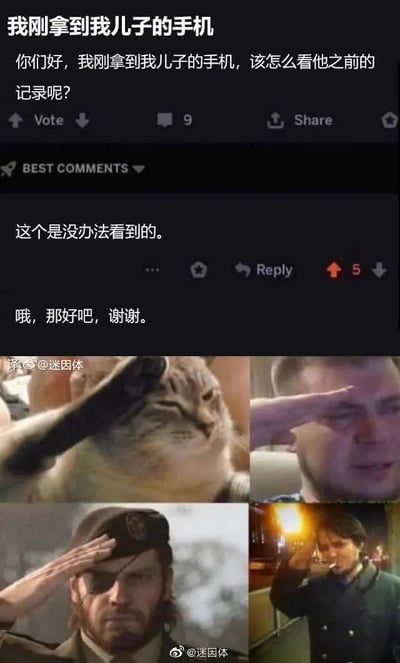 图片上半部分是社交媒体帖子截图，一位家长提问“刚拿到儿子手机如何查看之前记录”，下方评论回复“无法查看”，家长礼貌道谢。下半部分拼接了四张敬礼图片：左上角是猫咪抬手敬礼，右上角、左下角、右下角分别是不同人物（包括戴眼罩男性、穿制服男性）敬礼的场景，整体通过幽默方式表现家长查手机记录未果后“无奈接受”的氛围，带有调侃亲子间隐私话题的意味。