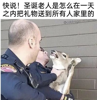 这是一张结合圣诞节趣味疑问的搞笑P图，创作者将一名警察的头部替换为鹿的头部，构建出警察正在审讯圣诞老人的驯鹿的荒诞场景。图片上方配文“快说！圣诞老人是怎么在一天之内把礼物送到所有人家里的”，用严肃的审讯姿态来调侃大众对圣诞老人如何高效完成全球送礼物任务的好奇，通过违和的P图效果和反差感制造强烈的喜剧氛围，属于圣诞节主题的趣味梗图。