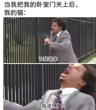 这张梗图通过上下两张图片对比，幽默地表现了当主人关上卧室门后猫咪的反应。上图中一名穿着西装的男子正用力摇晃金属栅栏，配文“让我进来”；下图中该男子表情更加夸张，仰头大喊，配文“让我进！！！”。用人类夸张的情绪和动作来类比猫咪被关在门外时的急切心情，形成搞笑效果。
