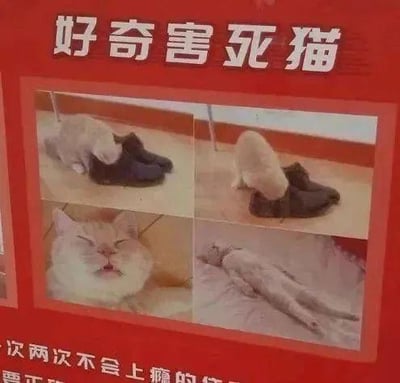 这是一张用猫咪四格照片拼接而成的趣味梗图，顶部配有文字“好奇害死猫”，底部有文字“一次两次不会上瘾的”。四格画面依次为：猫咪凑近鞋子、猫咪将头钻进鞋子里、猫咪露出陶醉满足的表情、猫咪直挺挺躺着仿佛“去世”，用夸张的画面演绎“好奇害死猫”的字面意思，制造出幽默调侃的效果，没有双关或谐音梗，仅用宠物的可爱画面玩经典俗语的梗。