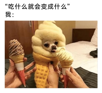 这是一张趣味搞笑梗图，上方配文“吃什么就会变成什么”与“我：”，下方的实拍画面里，一只吉娃娃被穿上了模仿冰淇淋甜筒的定制服装，两只手分别拿着巧克力味、原味的冰淇淋甜筒，其中原味冰淇淋凑在小狗嘴边，营造出小狗正在吃冰淇淋、并且已经“变成”冰淇淋的效果。画面将“吃什么变什么”的梗用萌宠装扮的方式具象化，既可爱治愈又充满搞笑创意，生动表达了对冰淇淋的喜爱，契合当下网络整活的趣味氛围。