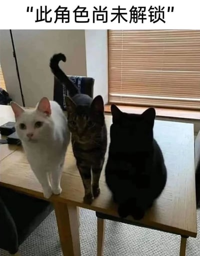 图片中三只猫咪并排站在木质桌子上，从左到右分别是白猫、虎斑猫和黑猫。白猫和虎斑猫毛色清晰可见，而黑猫因光线和毛色原因几乎与阴影融为一体，只隐约可见轮廓。图片上方配有文字“此角色尚未解锁”，幽默地将黑猫比作游戏中未解锁的隐藏角色，利用黑猫颜色与阴影的视觉效果制造笑点。