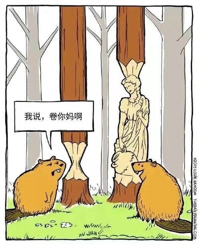 暂无描述