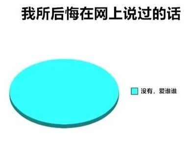 图片顶部有黑色文字“我所后悔在网上说过的话”，中间是一个较大的蓝色圆形，圆形右侧有一个已勾选的蓝色复选框，复选框旁配有文字“没有，爱谁谁”。整体通过幽默的方式表达了对自己在网上言论不后悔的态度。