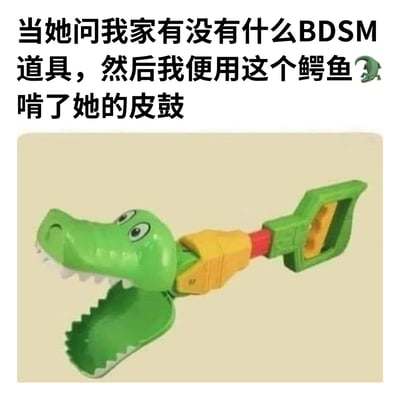 这张梗图上方是黑色文字："当她问我家有没有什么BDSM道具，然后我便用这个鳄鱼啃了她的皮鼓"，下方是一个绿色塑料鳄鱼玩具的照片。图片通过双关语制造幽默效果，将儿童玩具鳄鱼与BDSM概念联系起来，"皮鼓"在这里是对臀部的委婉说法，形成了意想不到的搞笑对比。