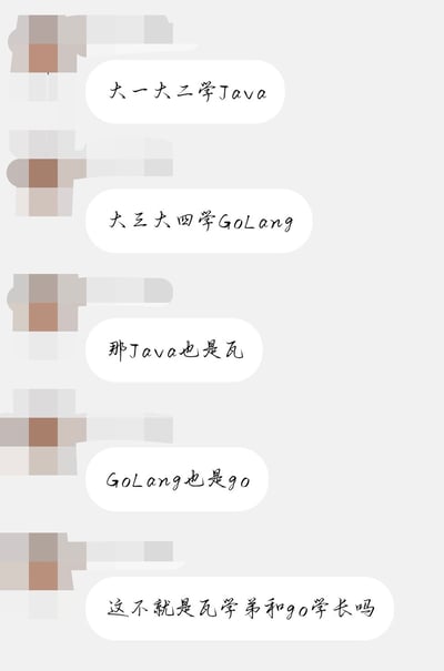 这是一张聊天记录截图，内容为对话双方讨论大学不同阶段的编程语言学习规划：大一大二学习Java，大三大四学习GoLang，随后双方玩起谐音梗，将Java谐音为“瓦”、GoLang的Go谐音为“go”，结合年级高低戏称学习Java的低年级学生为“瓦学弟”，学习GoLang的高年级学生为“go学长”，充满程序员圈层的趣味感。