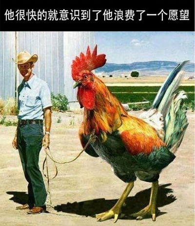 图片中一位戴着草帽、身穿蓝色衬衫和绿色裤子的牛仔，正牵着一只体型异常庞大的公鸡。公鸡有着鲜艳的红色鸡冠和五彩斑斓的羽毛，站立在农场的空地上，背景可见金属谷仓、绿色田野和远处的山脉。图片顶部配有文字“他很快的就意识到了他浪费了一个愿望”，暗示牛仔可能通过某种许愿方式将公鸡变得巨大，但随后发现这是一个无用甚至荒谬的愿望，营造出搞笑又无奈的氛围。