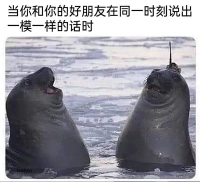 这是一张趣味P图梗图，图片上方配有文字“当你和你的好朋友在同一时刻说出一模一样的话时”，画面主体是两只在水中的海象，它们都仰头张嘴，呈现出惊讶同步的神态，其中右侧海象的头顶被P上了类似独角兽的尖角，生动又搞笑地还原了和朋友异口同声时，双方那种惊讶又觉得神奇、心有灵犀的有趣瞬间，属于用来调侃朋友间日常趣味时刻的网络梗图。