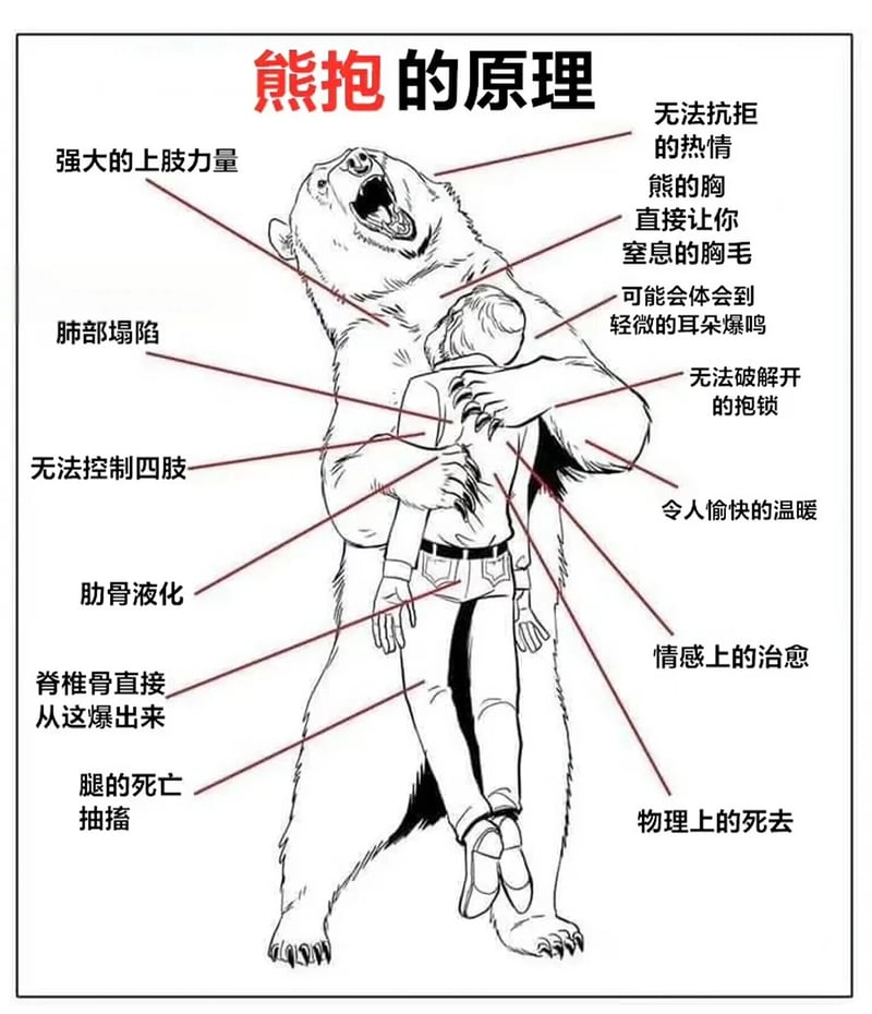 人类