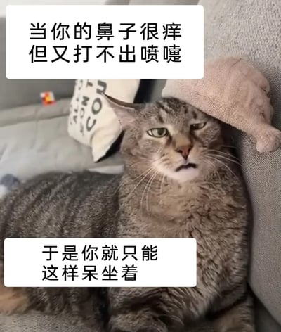 这是一张拟人化的搞笑宠物表情包，画面主体是一只瘫坐在沙发上的狸花猫，它眉头微蹙、嘴巴微张，神态憋屈又无奈。图片上方配文“当你的鼻子很痒但又打不出喷嚏”，下方配文“于是你就只能这样呆坐着”，用猫咪的真实状态来类比人们鼻子发痒却无法打出喷嚏时，那种坐立难安、无力改变的小尴尬，十分生动贴切地戳中了人们的日常小窘境，容易引发共鸣。