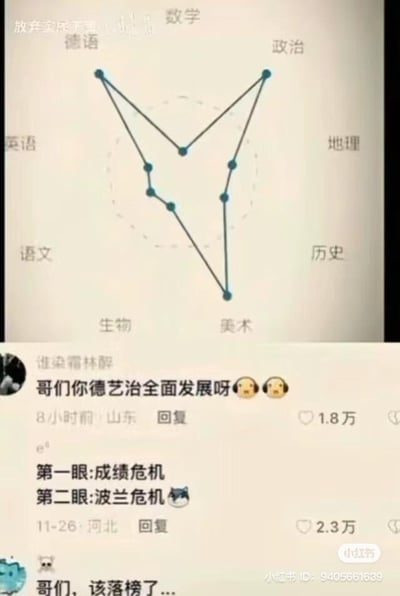 这张图分为上下两部分：上半部分是一张学科成绩雷达图，涉及的学科有德语、数学、政治、地理、历史、美术、生物、语文、英语，其中德语、政治、美术的分数明显高于其他学科，将各分数点连线后，整体形状酷似波兰的地图轮廓。下半部分是小红书平台的评论区，有三条热门评论：第一条评论“哥们你德艺治全面发展呀”，使用了谐音梗，将“德艺双馨”改编为“德艺治”，对应雷达图里分数高的德语、美术、政治三门学科；第二条评论“第一眼:成绩危机 第二眼:波兰危机”，玩了双关梗，先是吐槽成绩差面临危机，再结合雷达图的形状关联历史上的波兰危机，制造笑点；第三条评论“哥们，该落榜了...”则直接调侃成绩太差，升学堪忧。整张图通过成绩雷达图的特殊形状玩地图梗，搭配网友的趣味评论，充满了搞笑调侃的氛围。