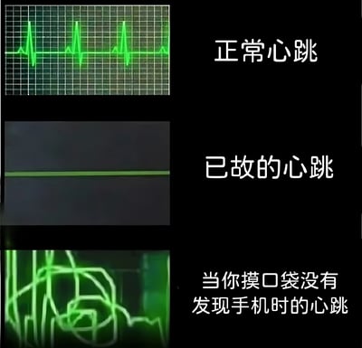 图片通过上下三格对比展示了三种不同的心跳状态：最上方是规律起伏的绿色心电图波形，标注为“正常心跳”；中间是一条平直的绿色直线，对应“已故的心跳”；最下方则是杂乱无章、剧烈波动的绿色波形，配文“当你摸口袋没有发现手机时的心跳”。通过医学监测仪器的视觉元素，幽默夸张地表现了现代人发现手机丢失时的极度恐慌情绪，形成强烈的反差萌效果。