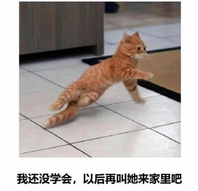 这张梗图的主体是一只橘色小猫，它站在光滑的白色瓷砖地面上，后腿打滑、身体前倾，呈现出类似还没学会走路的狼狈姿态。图片下方配有文字“我还没学会，以后再叫她来家里吧”，将小猫的打滑姿势拟人化，仿佛是一个还没学会走路的孩子，害羞地不想让客人来家里，用可爱又委婉的方式表达推脱的心情，充满反差萌和搞笑感，适合用来委婉拒绝别人带访客上门，或是用可爱的借口推脱事情。