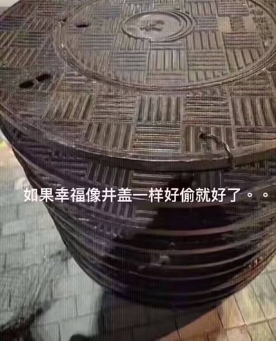 图片展示了一堆堆叠在一起的黑色铸铁井盖，画面下方配有白色文字：“如果幸福像井盖一样好偷就好了。。”。创作者通过将现实中容易被盗取的井盖与难以获得的幸福做对比，用调侃的语气抒发了当代人觉得幸福可望不可即的无奈情绪，反差感十足，容易引发大众共鸣。