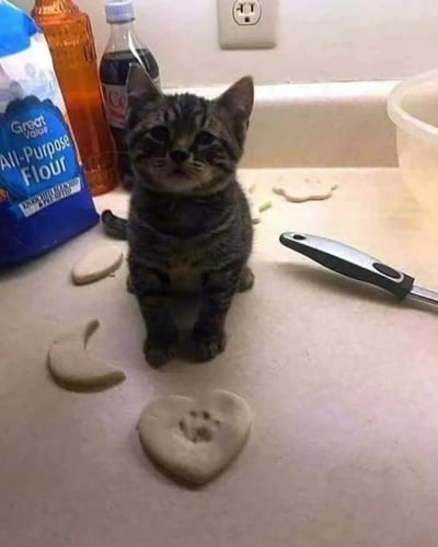 一只虎斑小猫坐在厨房台面上，周围散落着几块面团，其中一块心形面团上有明显的小猫爪印。小猫表情看起来既好奇又无辜，仿佛在展示自己的“艺术创作”。台面上还有面粉袋、饮料瓶和一把刀，营造出温馨又有趣的居家场景。