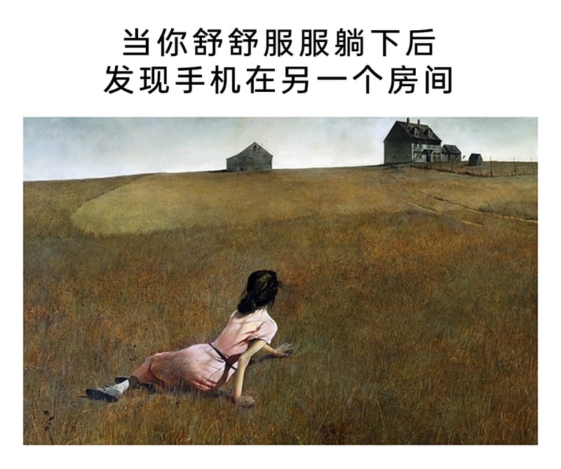 安德鲁·怀斯画作《克里斯蒂娜的世界》