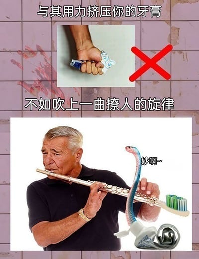 这是一张上下结构的搞笑P图，以日常挤牙膏为主题进行恶搞创作。上方区域展示了日常用力挤牙膏的场景，并配有红色叉号标识为“错误示范”，搭配文字“与其用力挤压你的牙膏”；下方区域则是恶搞的“另类方式”：一位头发花白的老人正专注地吹奏长笛，旁边将蛇、牙刷头、牙膏管合成在一起，模仿耍蛇人吹笛引蛇的场景，仿佛牙膏随着笛声“被引出”，搭配文字“不如吹上一曲撩人的旋律”，合成的蛇形装置旁还有“妙啊~”的拟人化文字。背景是带有污渍的瓷砖墙，整体通过夸张的图像合成和趣味文字，将日常小事进行无厘头恶搞，充满网络搞笑内容的风格。