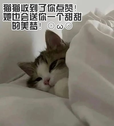 图片中是一只灰白相间的猫咪，正从白色的毯子下探出头来，眼睛半眯着，露出困倦又可爱的表情。图片上方有黑色加粗文字：“猫猫收到了你的点赞！她也会送你一个甜甜的美梦！😺”。整体画面温馨治愈，通过猫咪的萌态和暖心文字传递出积极美好的情感，适合用于社交媒体互动或日常分享。