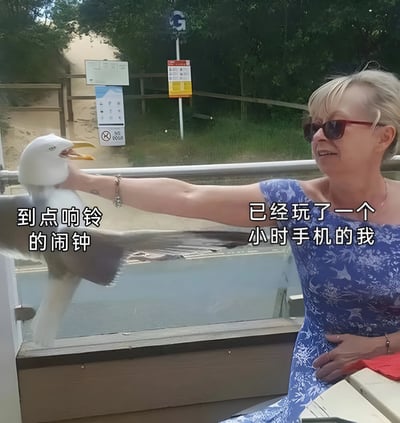 一位身穿蓝色碎花连衣裙的女士坐在窗边，伸出手臂逗弄一只停在窗台上的海鸥，海鸥正用喙啄她的手。背景中可见树木和一些指示牌。图片左右两侧分别配有文字“到点响铃的闹钟”和“已经玩了一个小时手机的我”，通过海鸥主动靠近的姿态比喻闹钟试图引起注意，而女士轻松逗弄的状态则幽默表现了人们沉迷手机时对闹钟提醒的无视，形成生动的日常场景调侃。