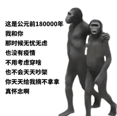 这是一张图文混排的搞笑梗图，画面右侧是两只黑白3D渲染的古猿，体型偏大的古猿将胳膊搭在另一只古猿的肩头，二者并肩前行；画面左侧以第一人称的口吻写下一段怀旧文字，虚构了“公元前180000年”和对方相处的场景，称那时无忧无虑，没有疫情困扰，不用为穿搭费心，也不会有日常争吵，还玩了谐音梗，将英文“banana（香蕉）”谐音成“不拿拿”，表达对这种无拘无束、没有生活琐碎烦恼的“原始生活”的怀念。图中用夸张的远古设定反衬当下生活的压力与琐碎，通过谐音梗增添搞笑趣味，引发观者对简单生活的共鸣。