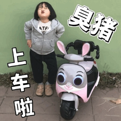 权律二兔子 scooter 表情包