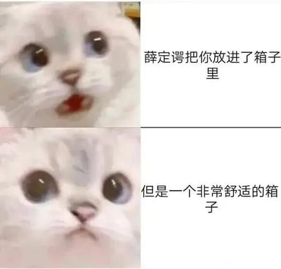 图片为上下两格的对比式构图，均展示一只白色猫咪的特写。上格猫咪眼睛圆睁，嘴巴微张，表情惊讶，右侧配文“薛定谔把你放进了箱子里”；下格猫咪眼神柔和，表情平静，右侧配文“但是一个非常舒适的箱子”。通过猫咪表情的反差和文字改编，将量子物理中的“薛定谔的猫”思想实验幽默化，用“舒适的箱子”消解了原实验的不确定性焦虑，形成轻松搞笑的效果。