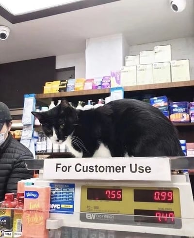 一只黑白相间的猫咪大摇大摆地趴在超市的顾客用称重台上，仿佛在“自助”体验称重服务。称重台正面清晰标注着“For Customer Use”的白色提示牌，显示屏上则显示着“7.55”和“0.99”的数字。背景货架上摆满了各色日用品和洗护用品，一位戴着口罩和黑色帽子的店员（或顾客）在左侧若有所思地注视着这只“不速之客”，整个场景充满生活气息与反差萌，猫咪的淡定姿态与称重台的功能设定形成趣味对比。